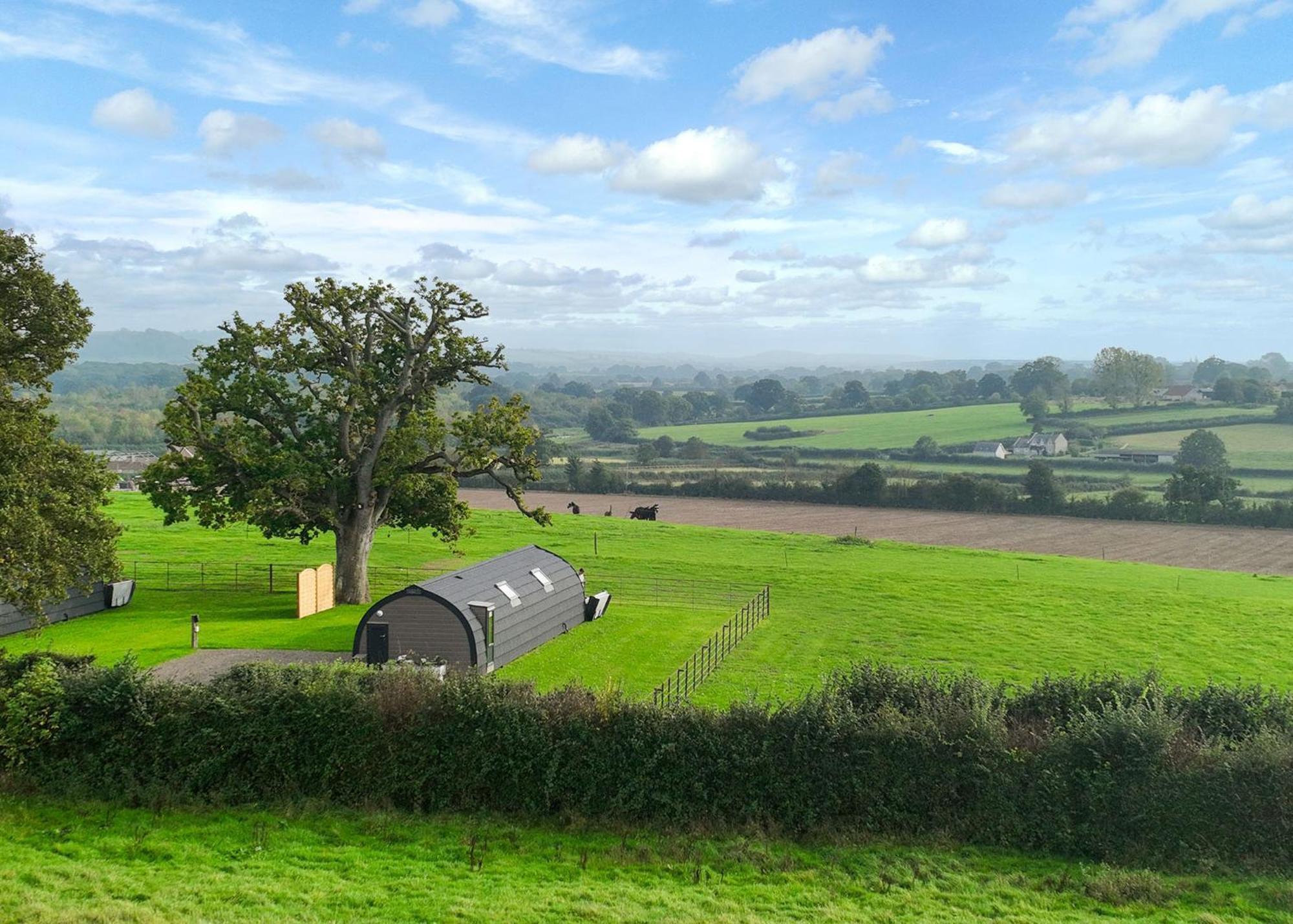 Firtree Farm Lodges Yeovil Oda fotoğraf